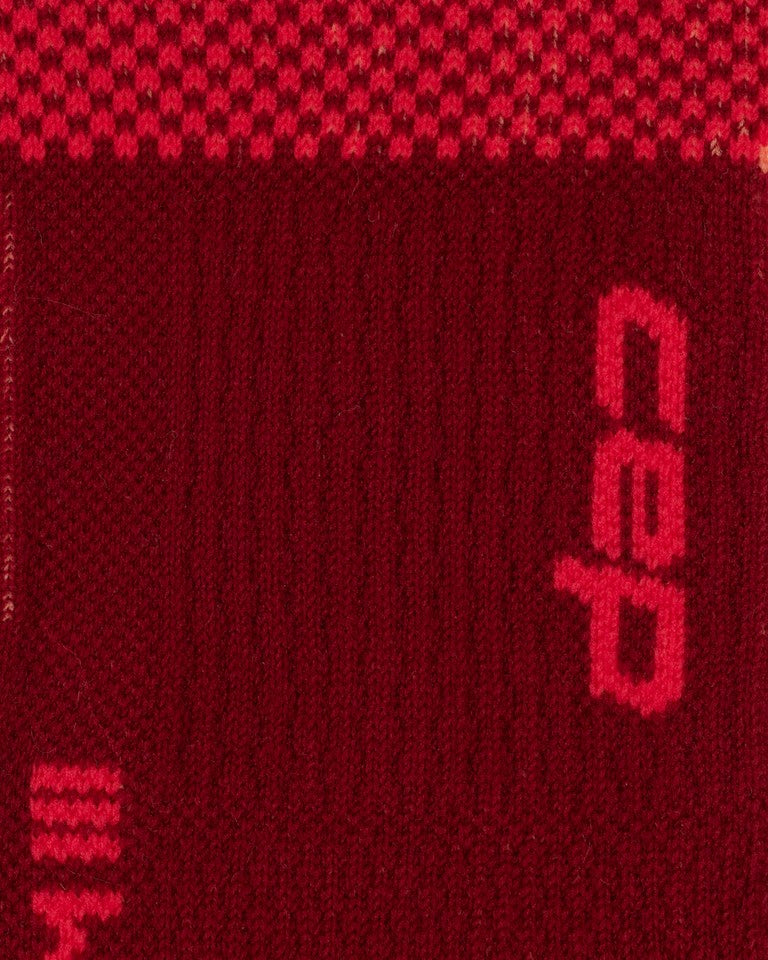 SKI THERMO COMPRESSION SOCKS 4.0 – TALL, Women