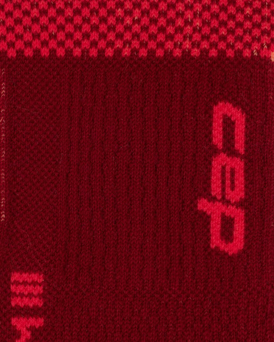 SKI THERMO COMPRESSION SOCKS 4.0 – TALL, Women